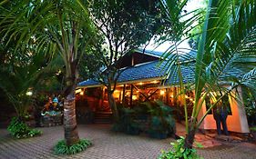 Forest Cabañas